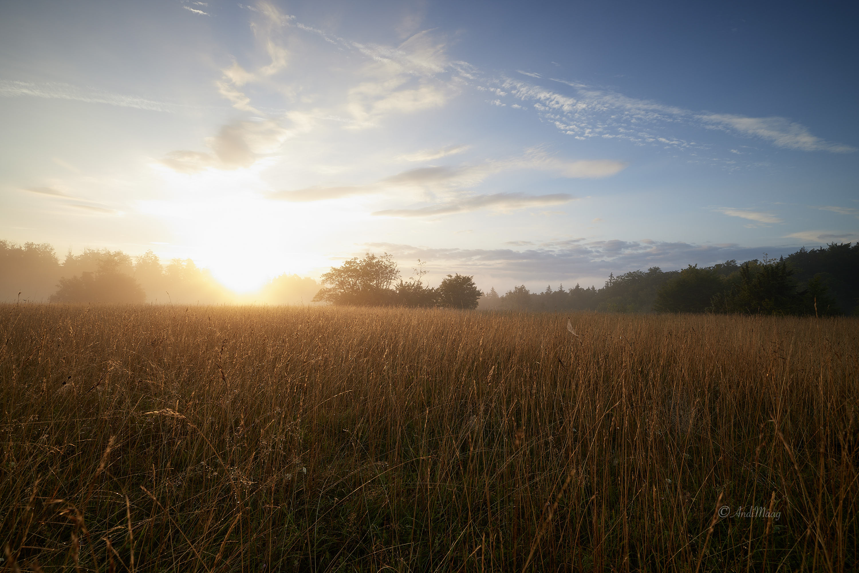  Naturpark Obere Donau 