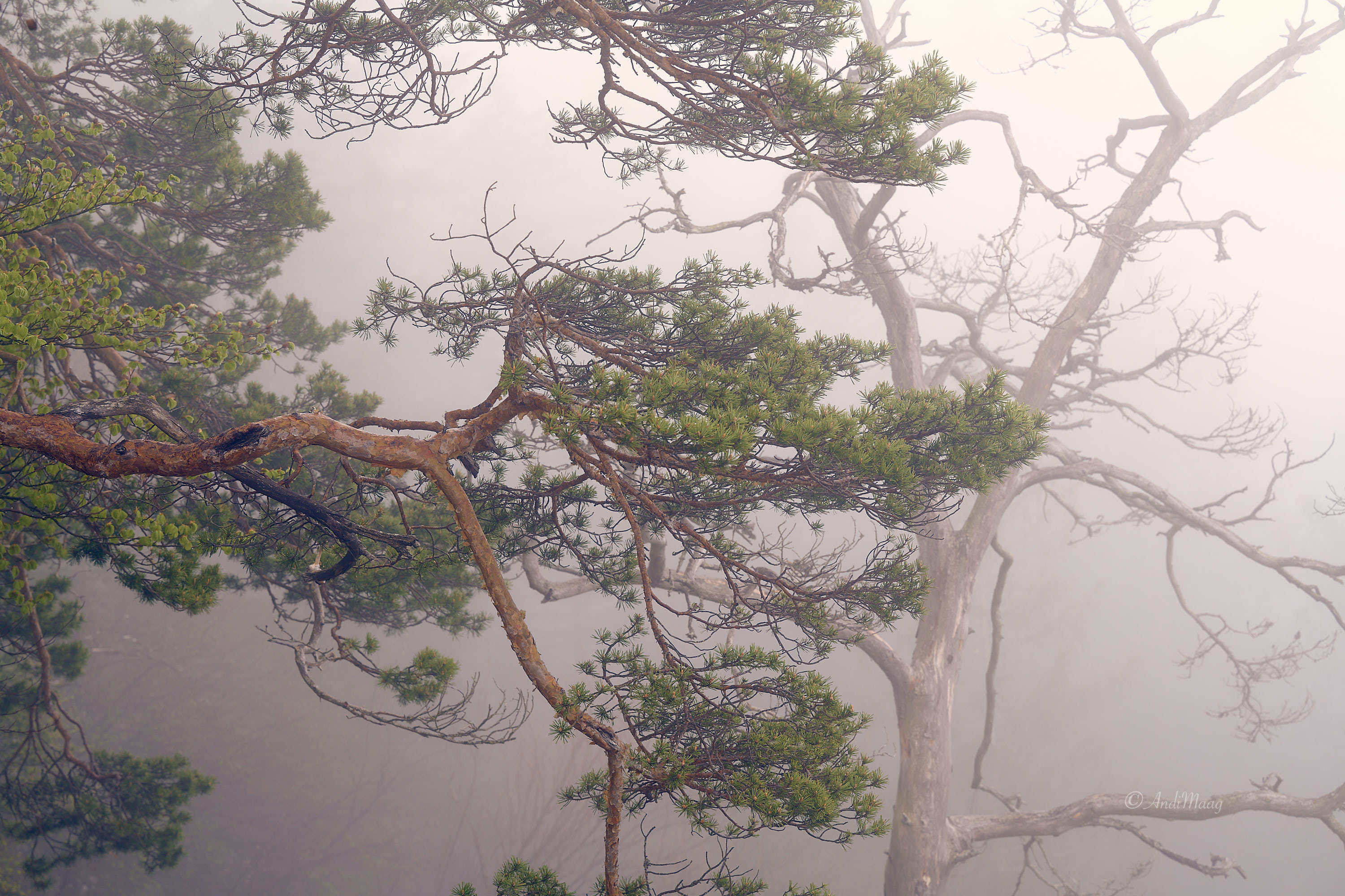  Naturpark Obere Donau 