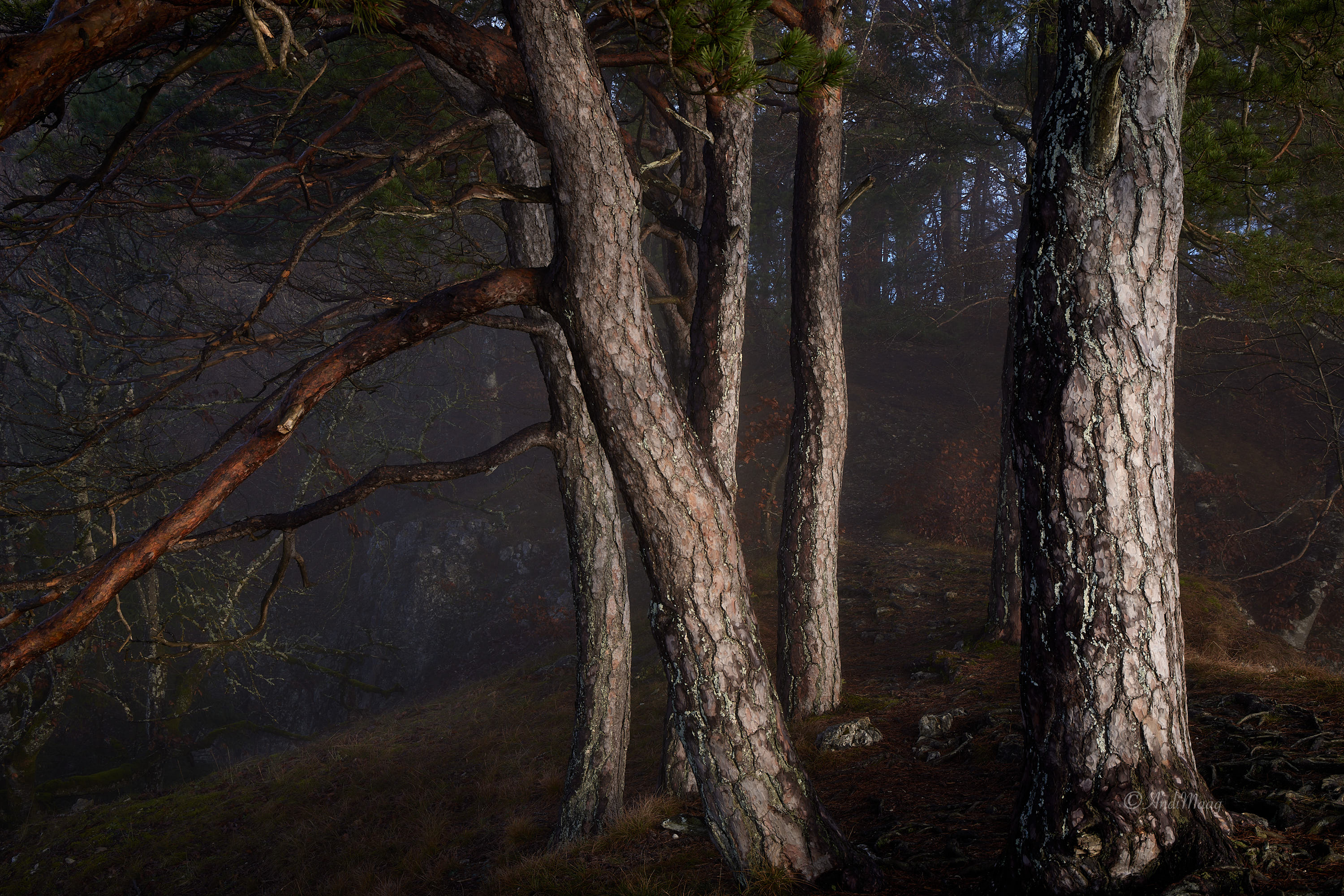  Naturpark Obere Donau 