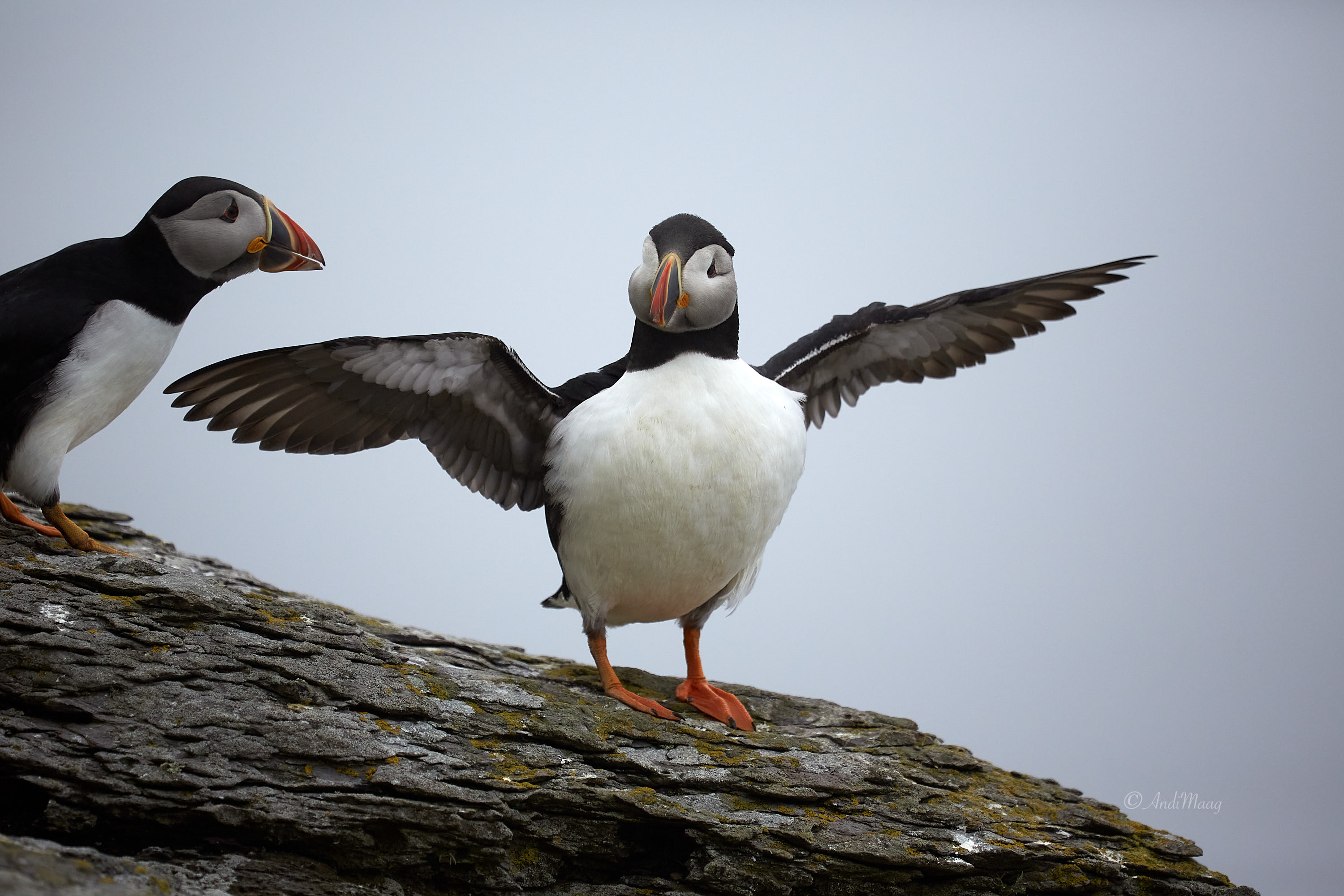  Skellig Michael 