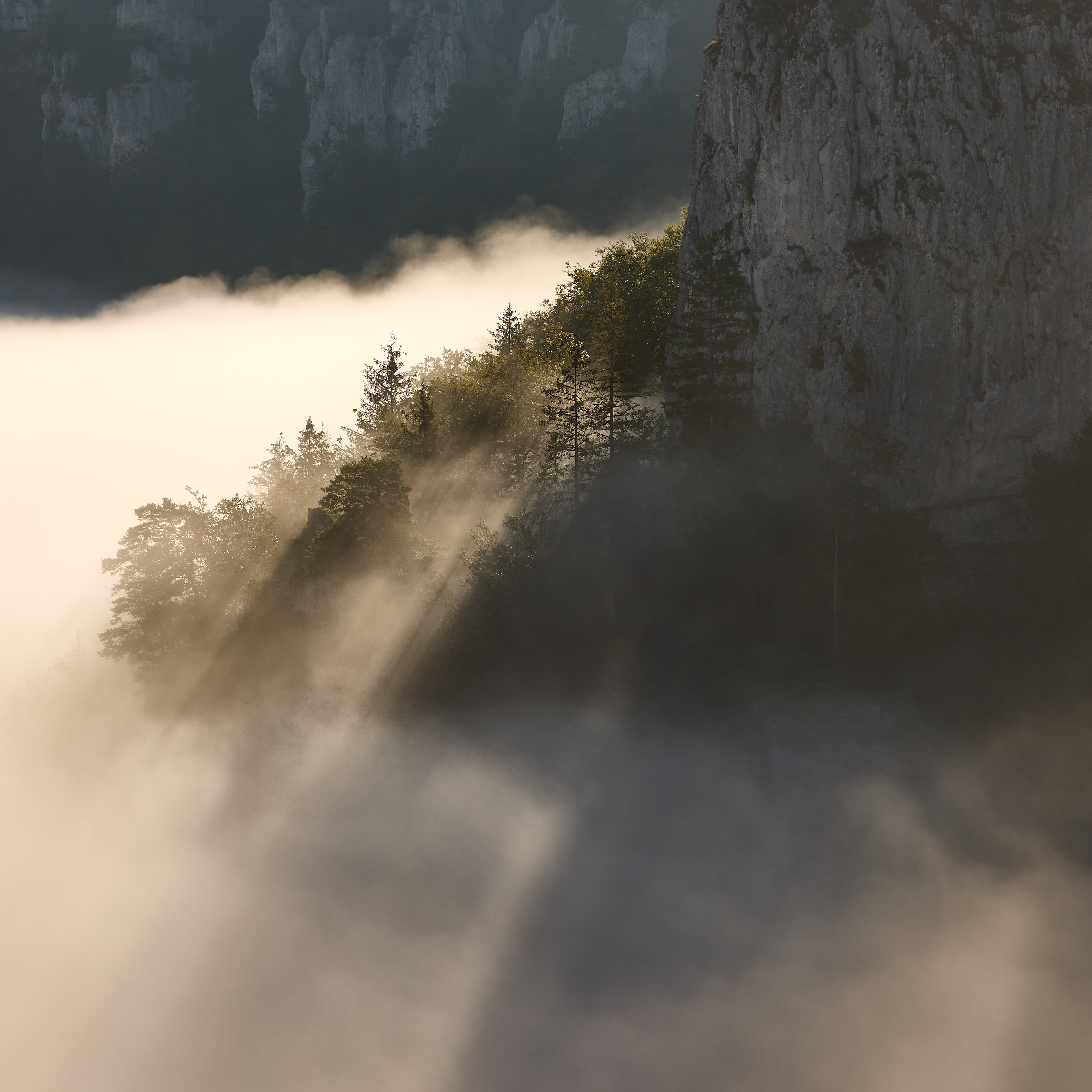  Lengenfels - NP Obere Donau 