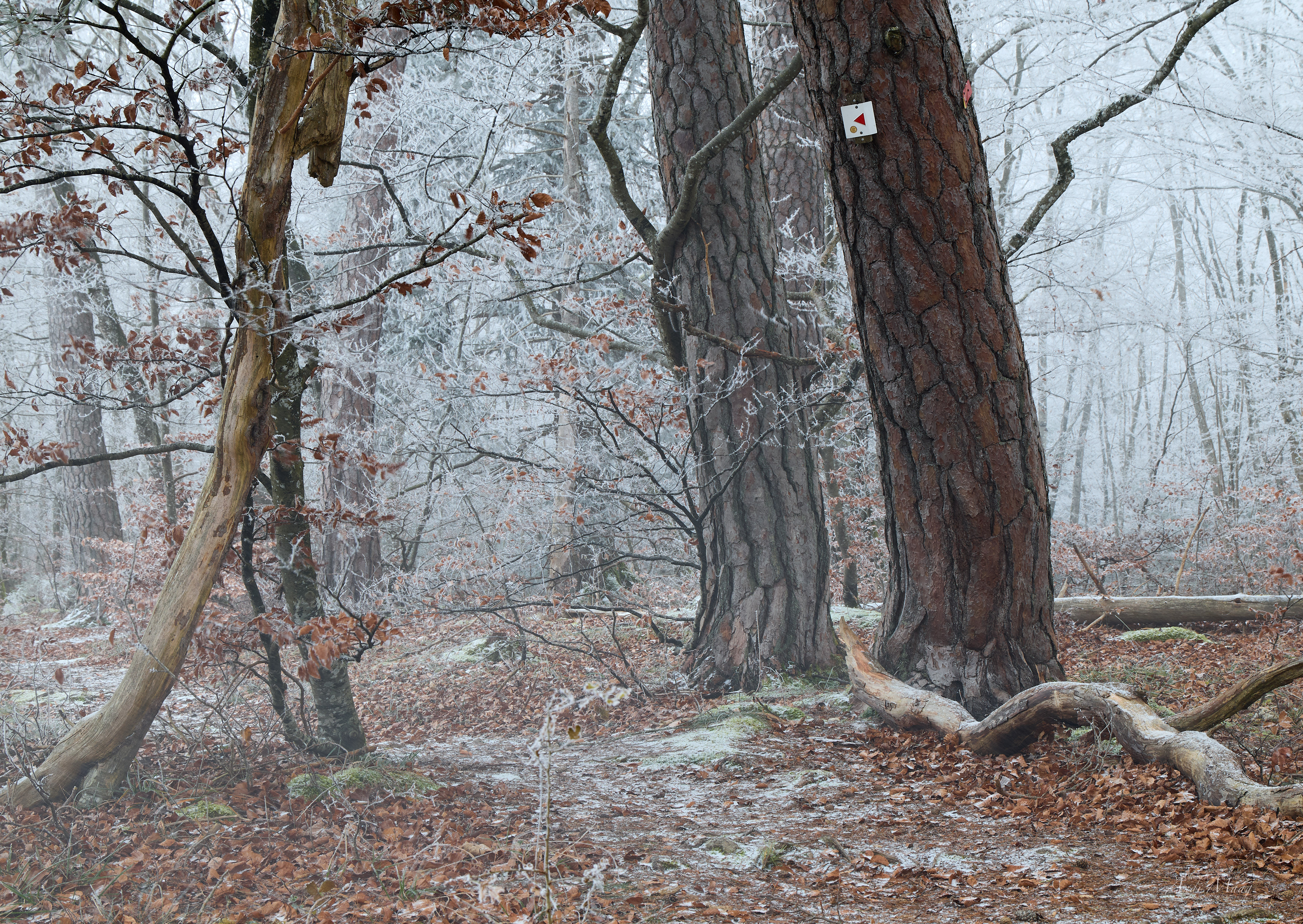  Naturpark Obere Donau 
