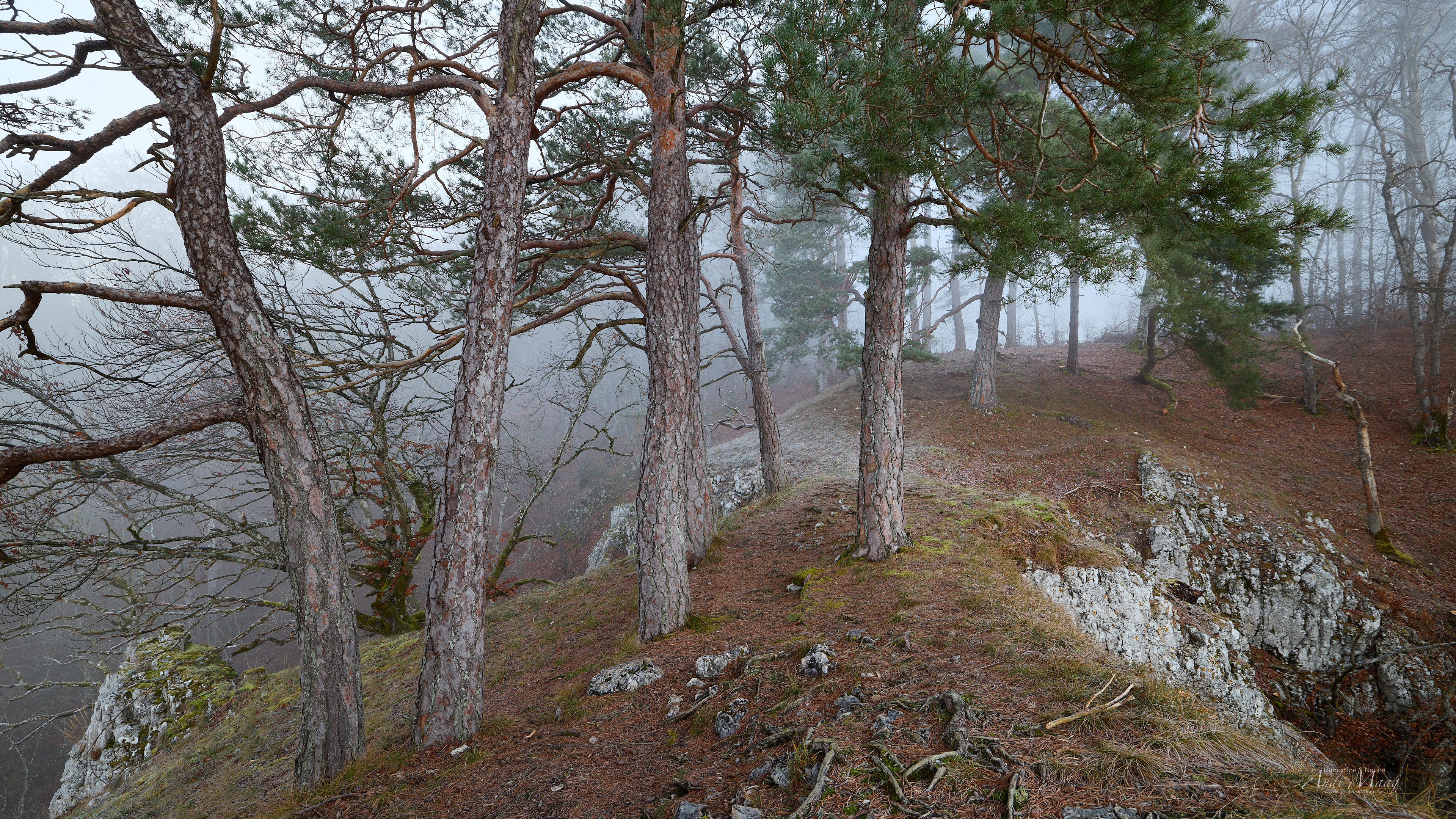  Naturpark Obere Donau 