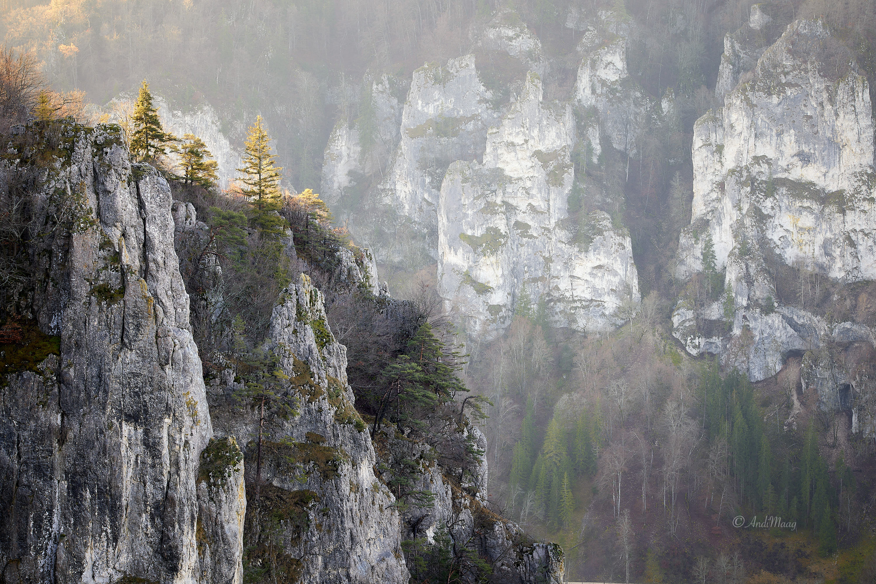 Der Naturpark Obere Donau liegt im Süden Baden-Württembergs und umfasst große Teile der Landkreise Tuttlingen, Sigmaringen, Zollernalb und Biberach. Er wurde am 5. Dezember 1980 gegründet und ist einer von insgesamt sieben Naturparks in Baden-Württemberg. 