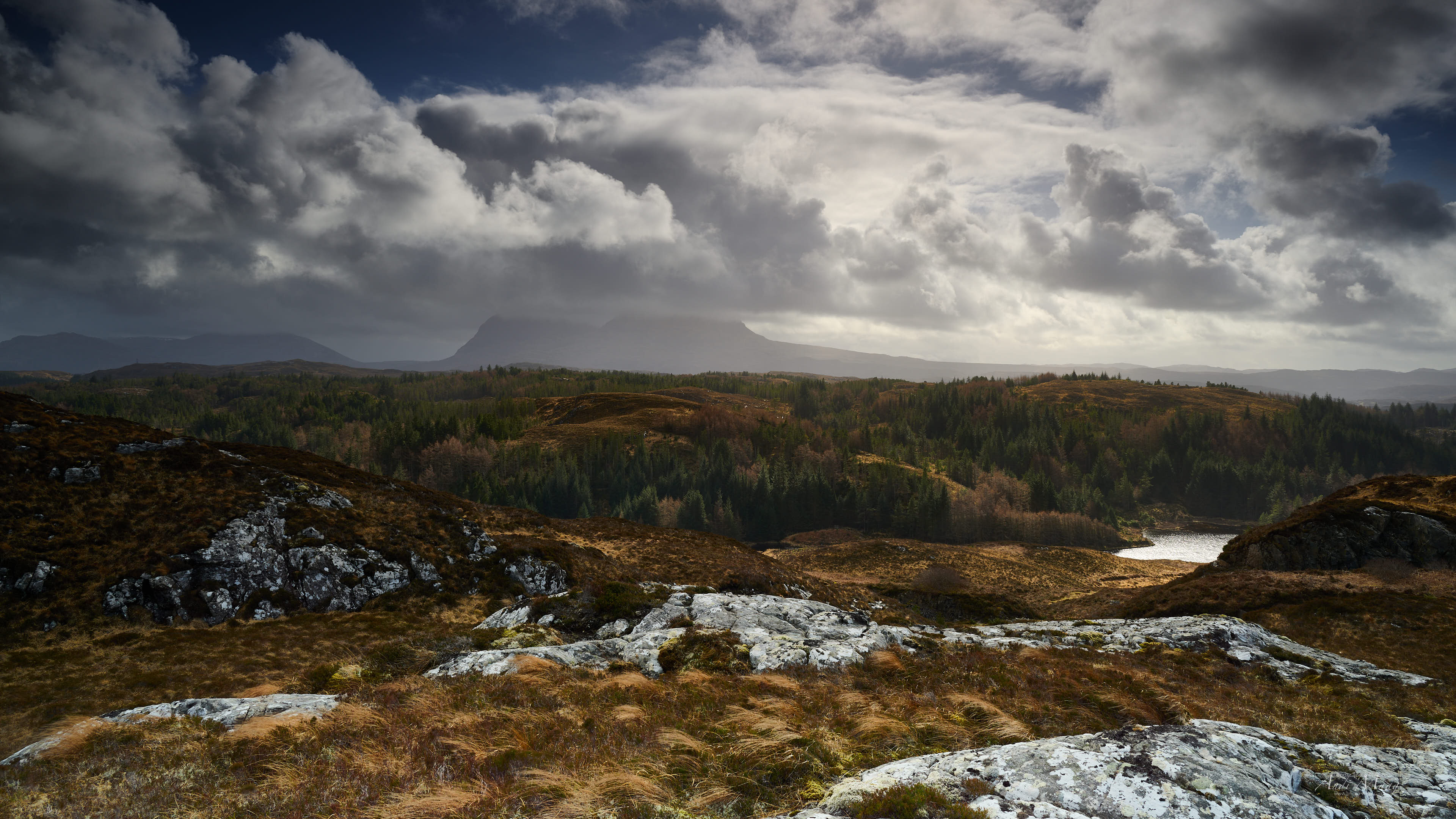  Landscape 